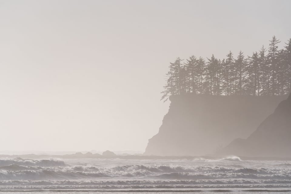 A coastal landscape with a rocky cliff and dense forest.