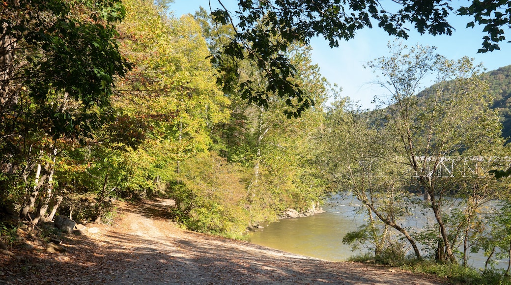 Acceso público al río