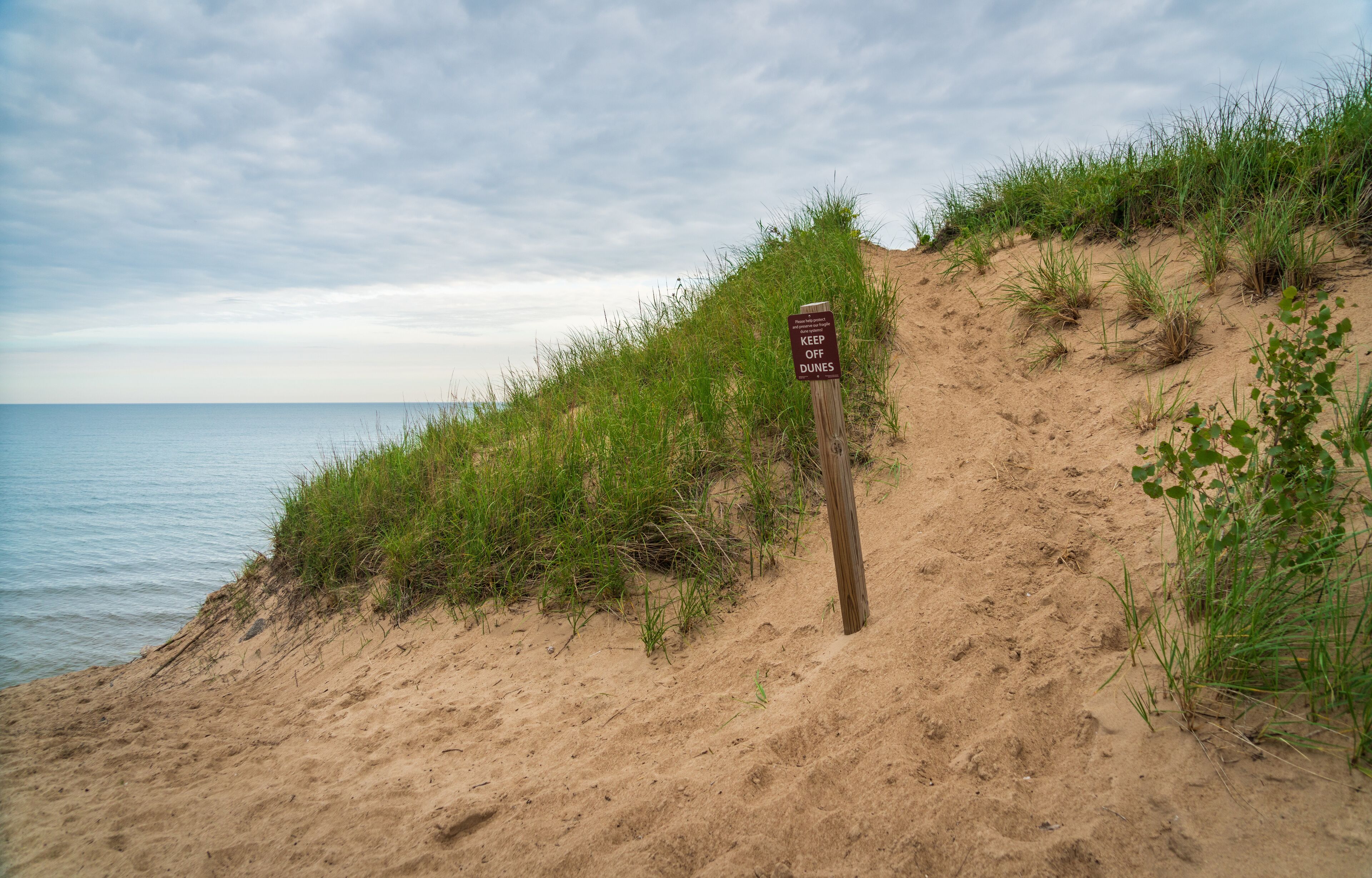 Sand dunes at Indiana Dunes National Park
