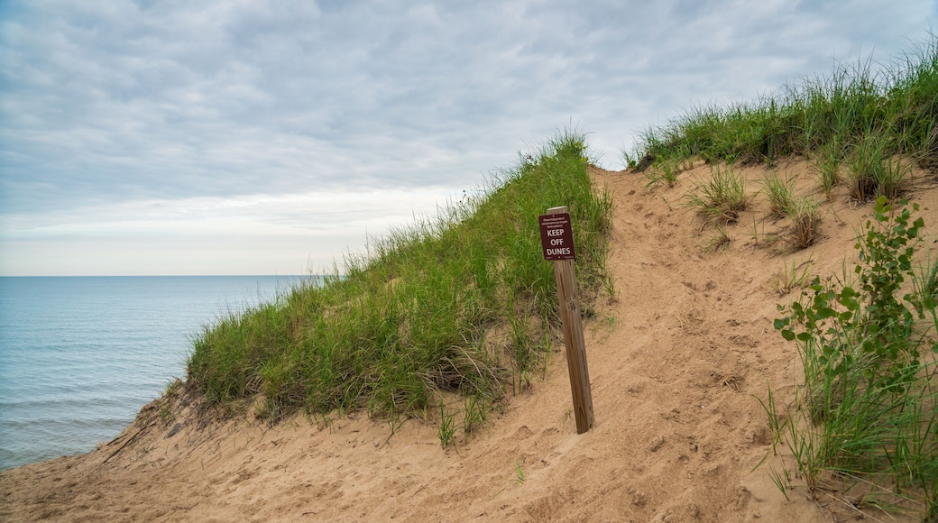 Sand dunes at Indiana Dunes National Park