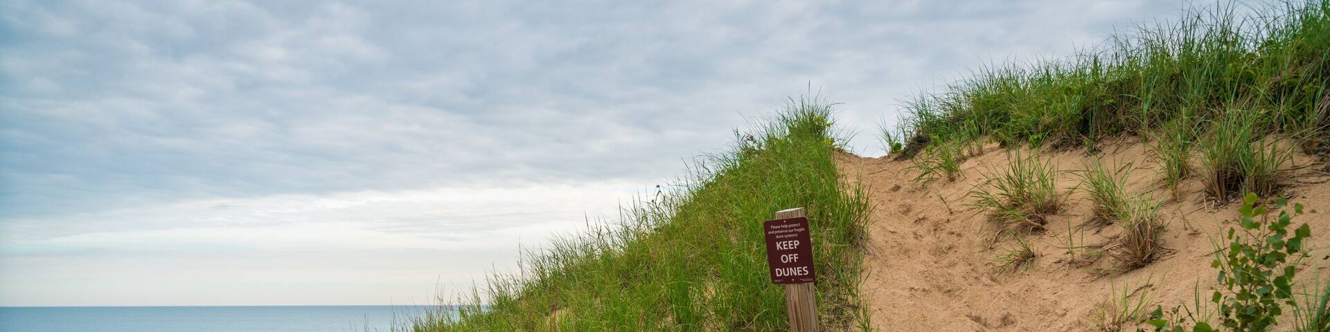 Sand dunes at Indiana Dunes National Park