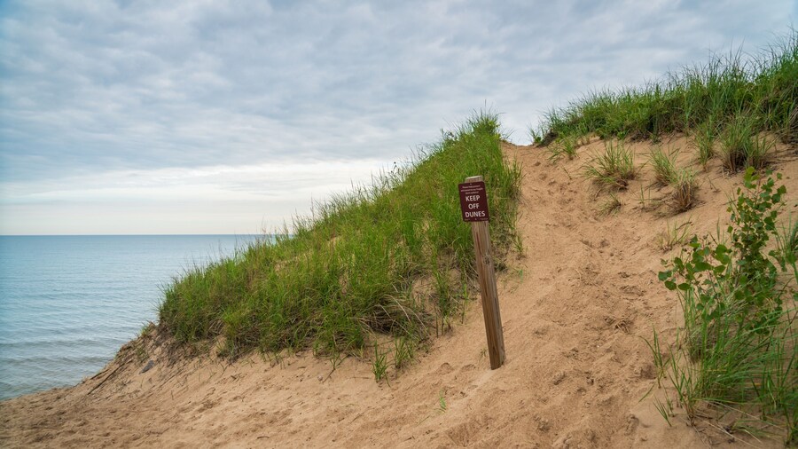 Sand dunes at Indiana Dunes National Park
