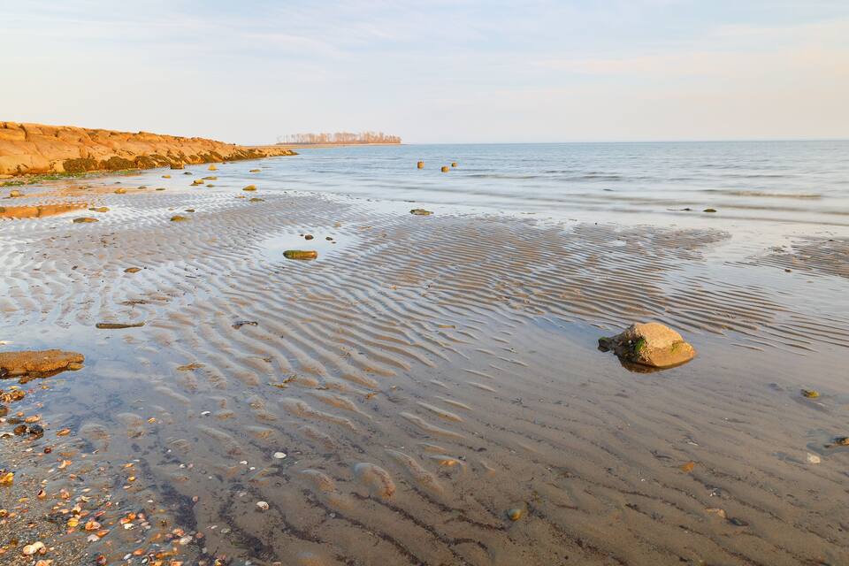 A beach with rocks and shells, calm water, and a distant shoreline.