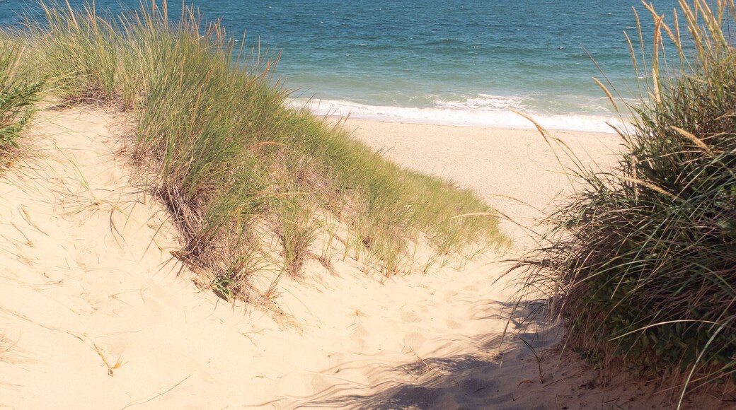 A sandy path through the dunes and grass leading to the beach on the Cape Cod National Seashore on a blue sky summer day. Waves are visible in the blue ocean and green grasses are growing on a hot day