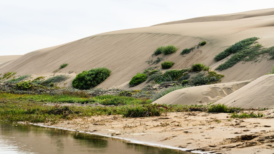 モーロ デューンズ自然保護区
