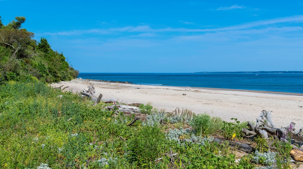 Playa de Plum Island Point