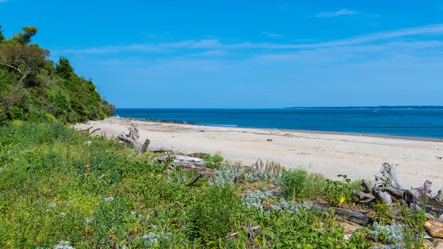 Pointe de Plum Island