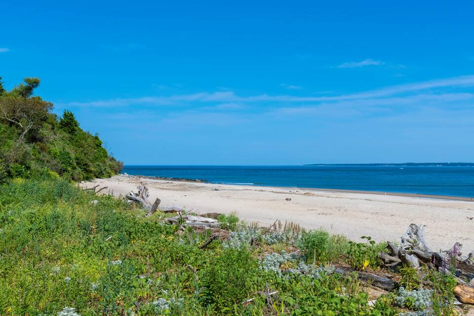 A beach with sand, sea, and greenery.