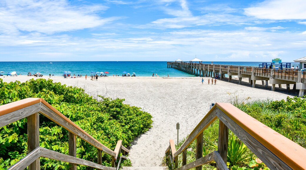 Boardwalk leading down to Juno Beach pier in Palm Beach County, Florida.