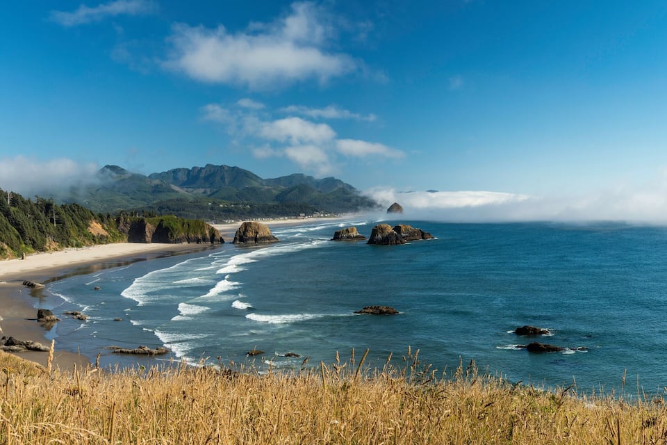A coastal landscape with a beach, rocky outcrops, and a forested hillside.