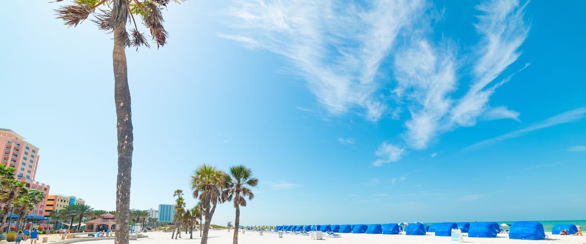 White sand and palm trees in Clearwater beach