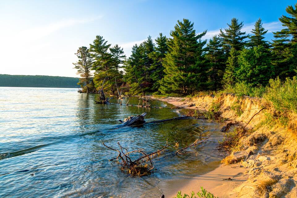 A shoreline with clear water, sandy beach, and dense forest.