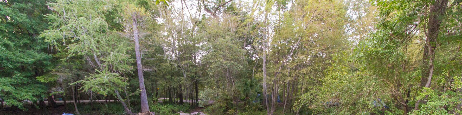 Florida Natural Springs