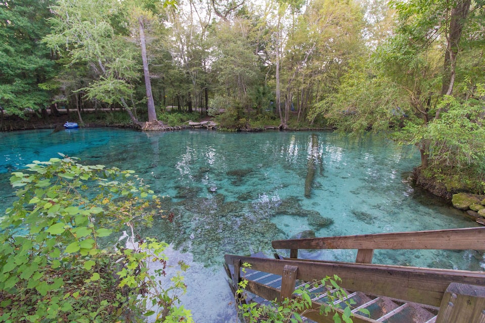 A clear blue river surrounded by lush greenery and a wooden bridge.