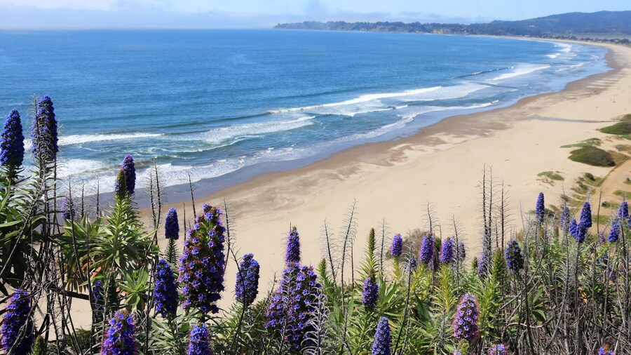 Plage de Stinson Beach