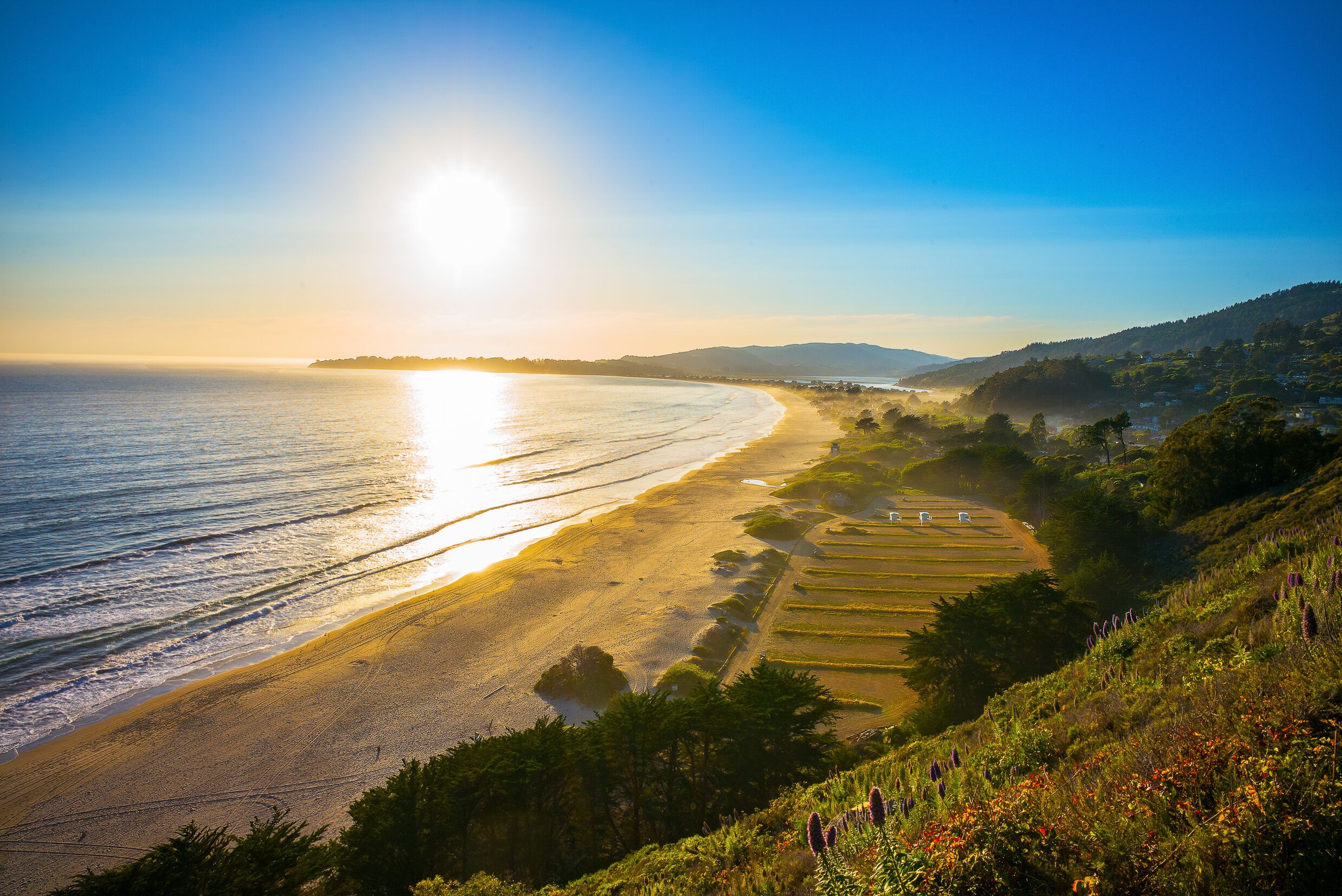 Sunset over Stinson Beach just north of San Francisco, California, USA. Spring flowers in the foreground.