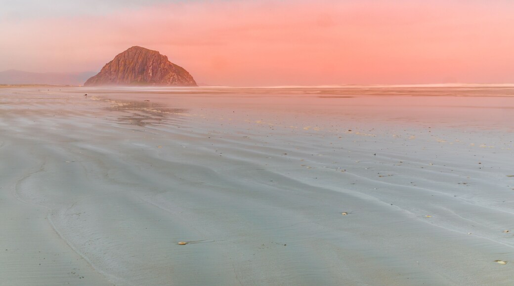 Dreamy morning on the beach of Morro Bay with the Morro Rock, California