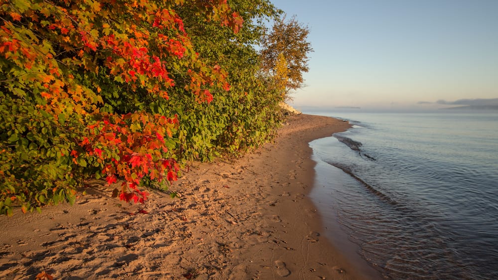 Autumn Lake Shore Background. Sandy beach framed by vibrant fall foliage in the Upper Peninsula of Michigan.