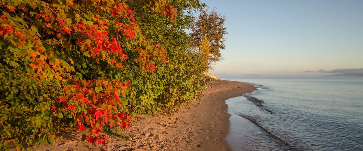 Autumn Lake Shore Background. Sandy beach framed by vibrant fall foliage in the Upper Peninsula of Michigan.