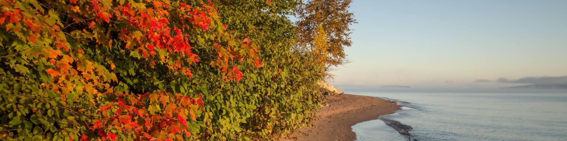 Autumn Lake Shore Background. Sandy beach framed by vibrant fall foliage in the Upper Peninsula of Michigan.