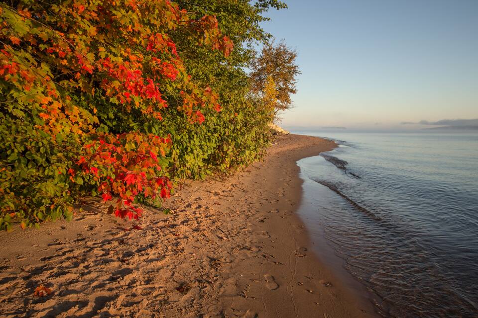 A beach with autumn foliage and calm water.