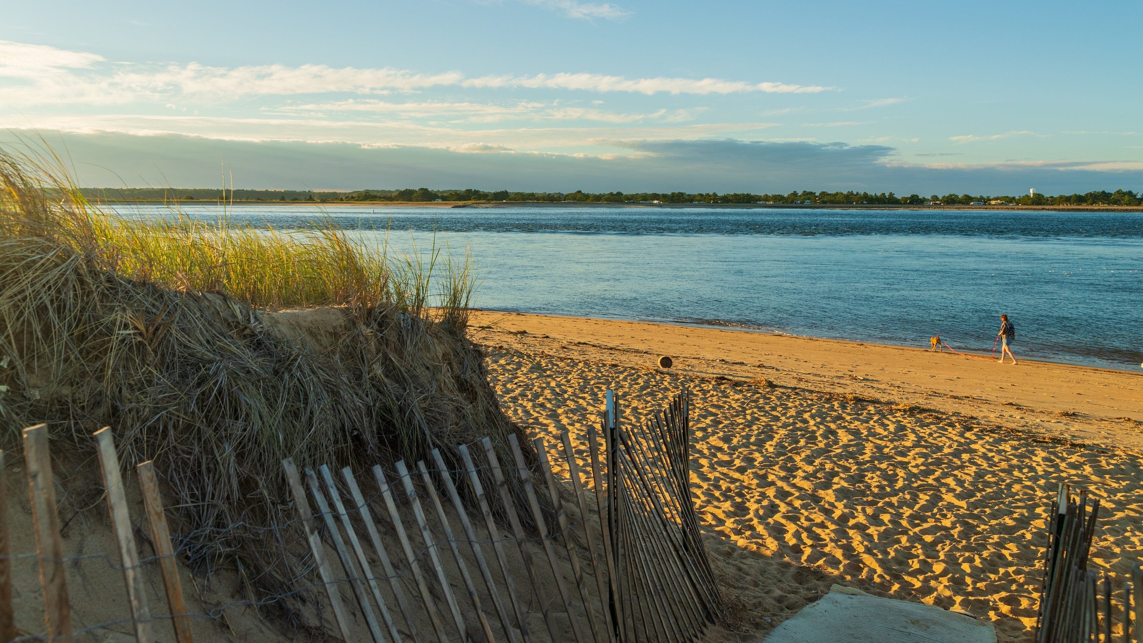 Plum Island Beach featuring a sandy beach, general coastal views and a sunset