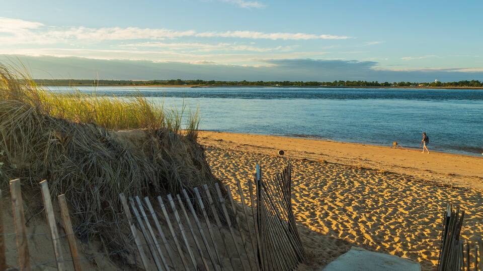 A sandy beach with a wooden fence and grass in the foreground, a calm river in the background, and a person walking a dog.
