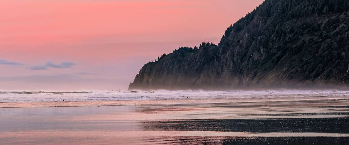 View of Manzanita Beach on the Pacific Coast of Northern Oregon. Birds are walking and flying. Pastel pink sky reflecting on the wet sand at sunrise. Rugged cliffs are visible in the distance.