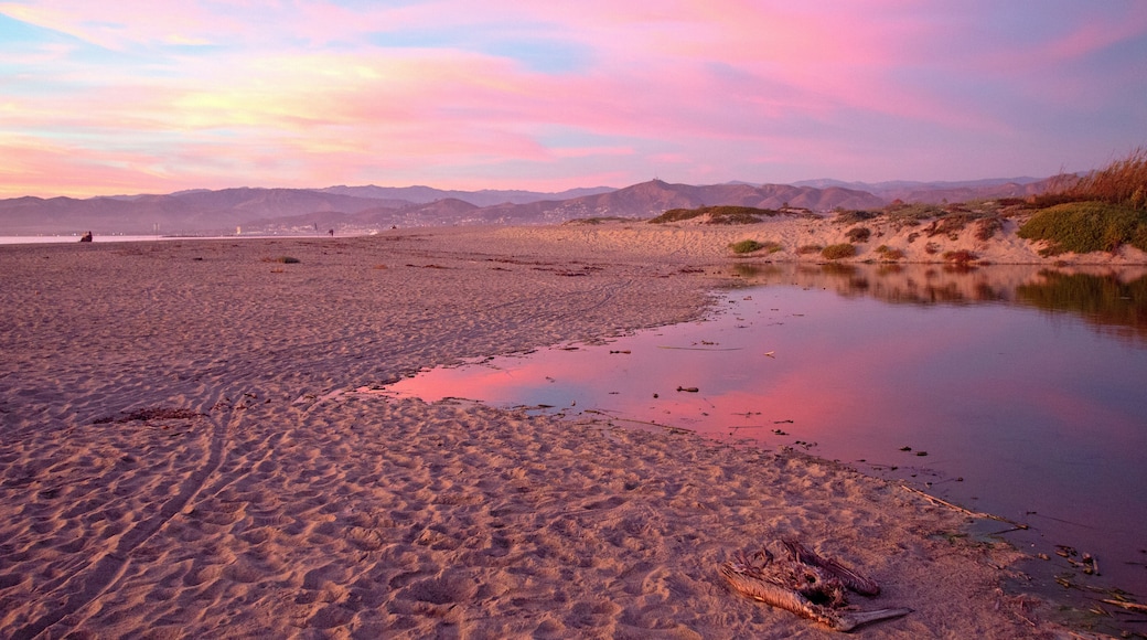 Playa estatal de Oxnard