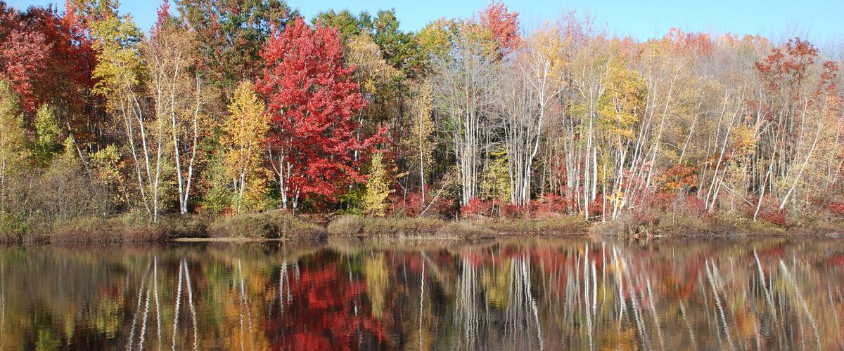Maine Autumn Lake