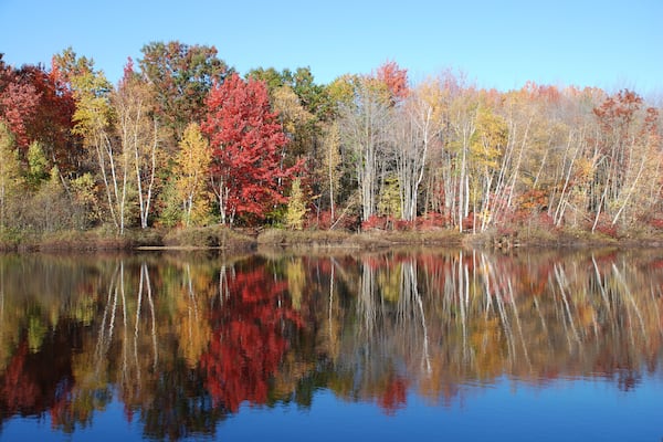Maine Autumn Lake