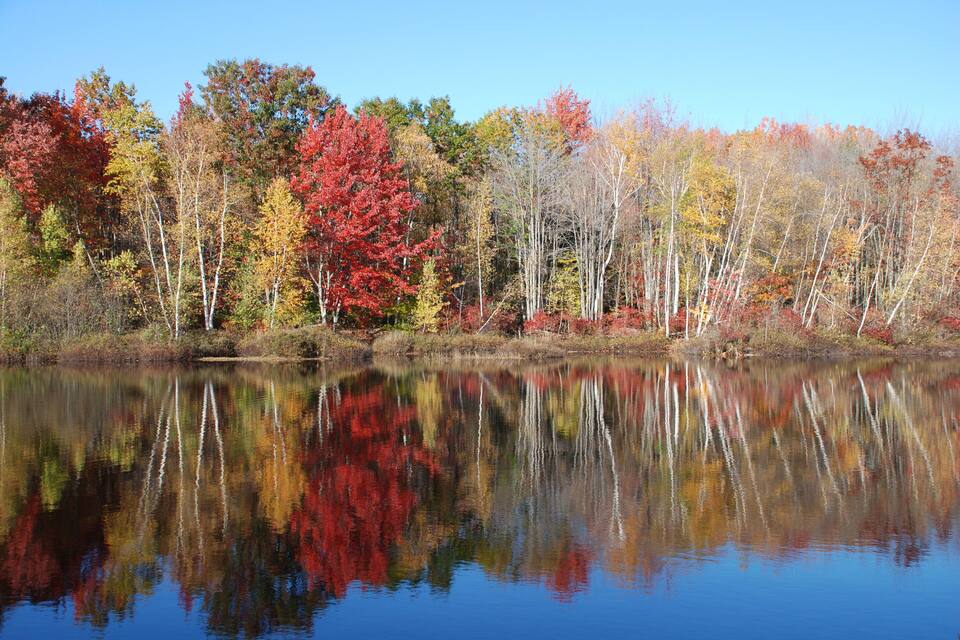 A calm lake reflecting autumn trees with red, yellow, and green foliage.