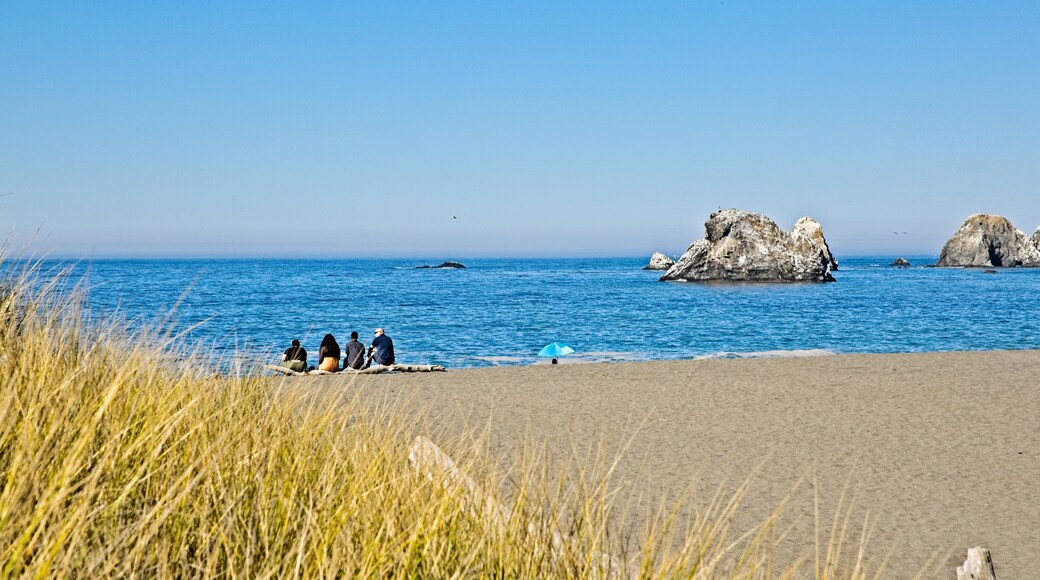 Beautiful Sonoma Coast - Jenner, CA