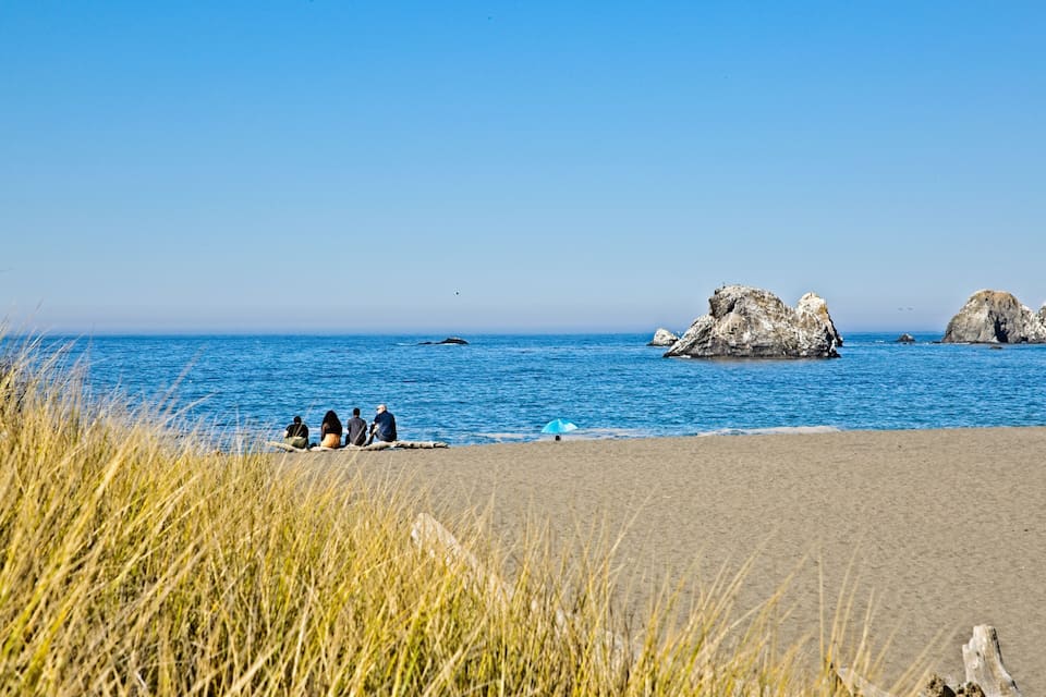 A beach with tall grass in the foreground, a clear blue sky, and large rock formations in the water.