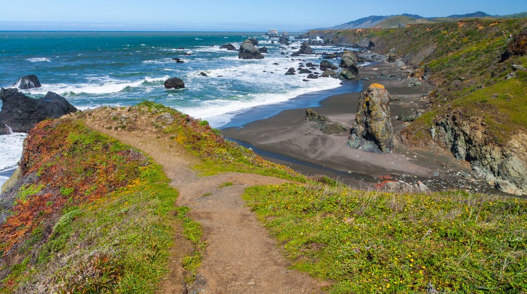 Seastacks at Goat Rock State Beach,Jenner, California,USA