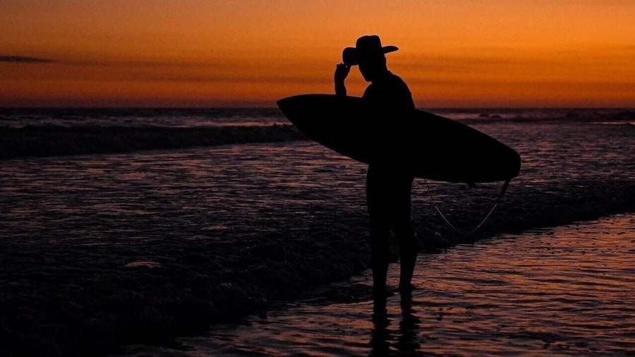 Save a horse. Ride a wave. #Adventure