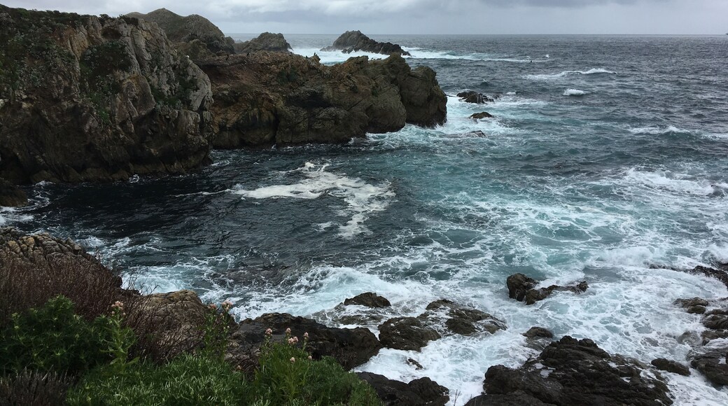 A road from Carmel to Big Sur
