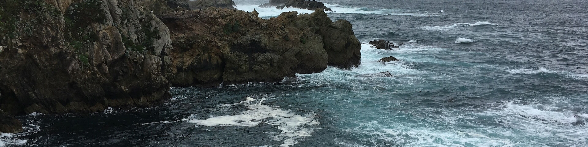 A road from Carmel to Big Sur