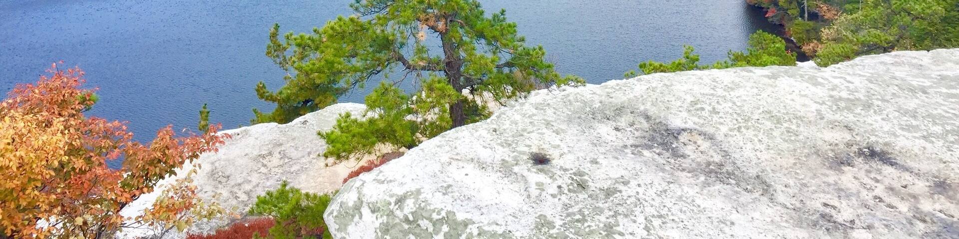 Fall is the best time of the year......well.....every season I change my mind.....every season has something amazing to offer in NY/CT area! Lucky to live around here!