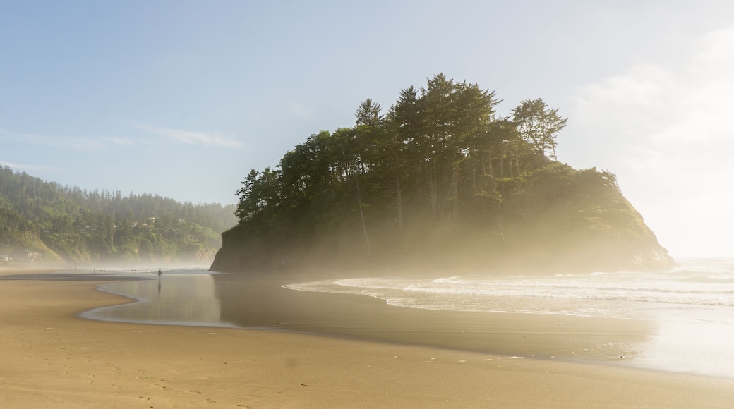 Neskowin Beach, Oregon, USA