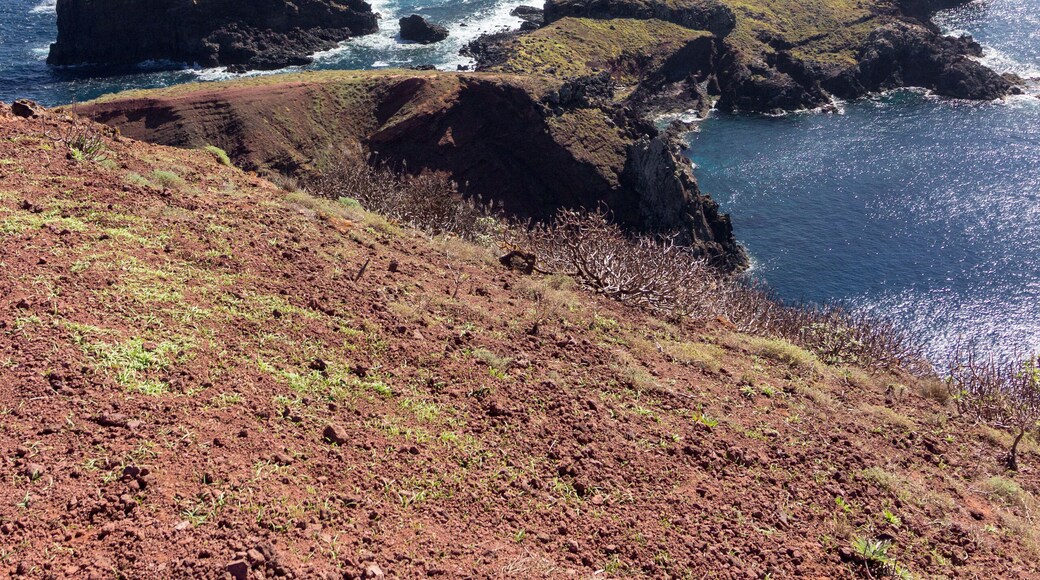 Views of Ponta do Saint Lorenzo in Madeira (Portugal)