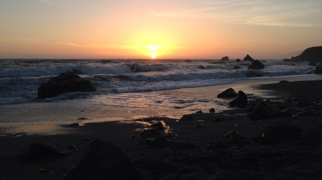 Took the dogs down to the beach for the sunset. One of the great places to pull off the road on Highway 1!