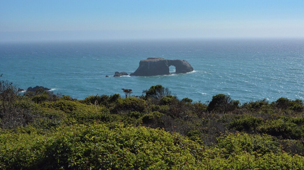 Beautiful view of an arched rock from the Blind Beach parking lot. Wait for the fog to clear! #aquatrove