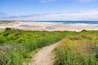 Walking path going through green shrubs towards a sandy beach; Gazos Creek Año Nuevo State Park, Pacific Ocean coastline, California