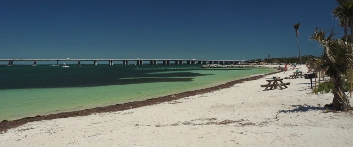 Calusa beach
Pequena praia de águas tranquilas dentro do Bahia Honda State Park. Ideal para famílias passarem o dia. Tem mesas e bancos para picnic. A bela vista da ponte desativada é um incentivo para a fotografia. Banheiros impecáveis e totalmente equipados. Estranhei a areia cheia de algas mas um cartaz me esclareceu que as algas faziam parte do ecossistema do parque e que por isso não eram removidas.
#calusa #beach #bahia #honda #bridge #florida