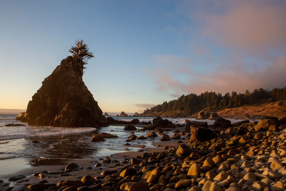 A rocky shoreline with a prominent rock formation and a tree on top, surrounded by a forested area.