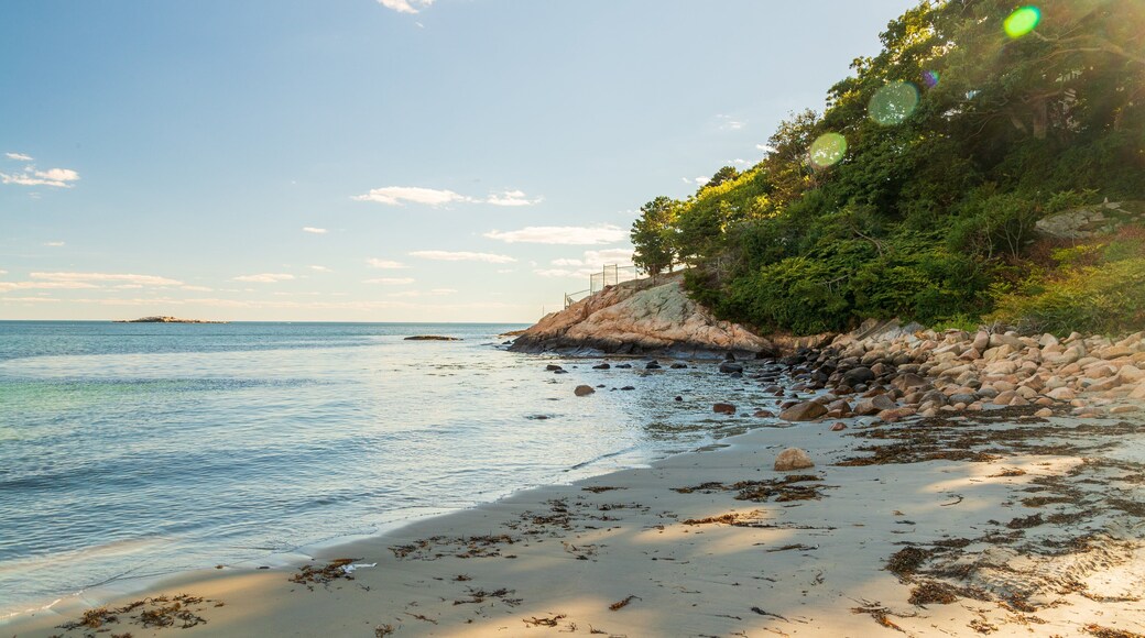 White Beach showing rugged coastline, general coastal views and a beach