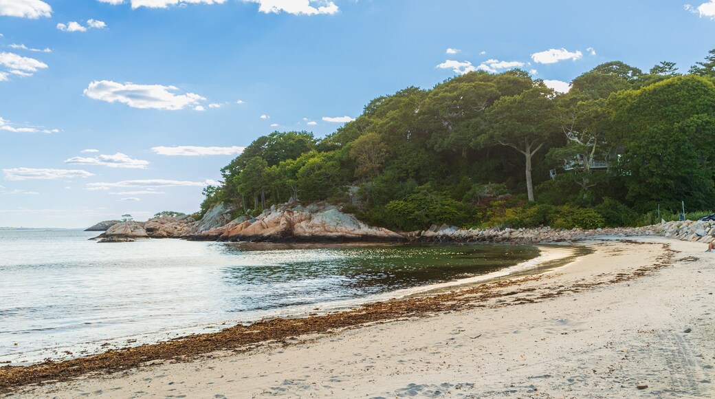 White Beach which includes general coastal views and a beach