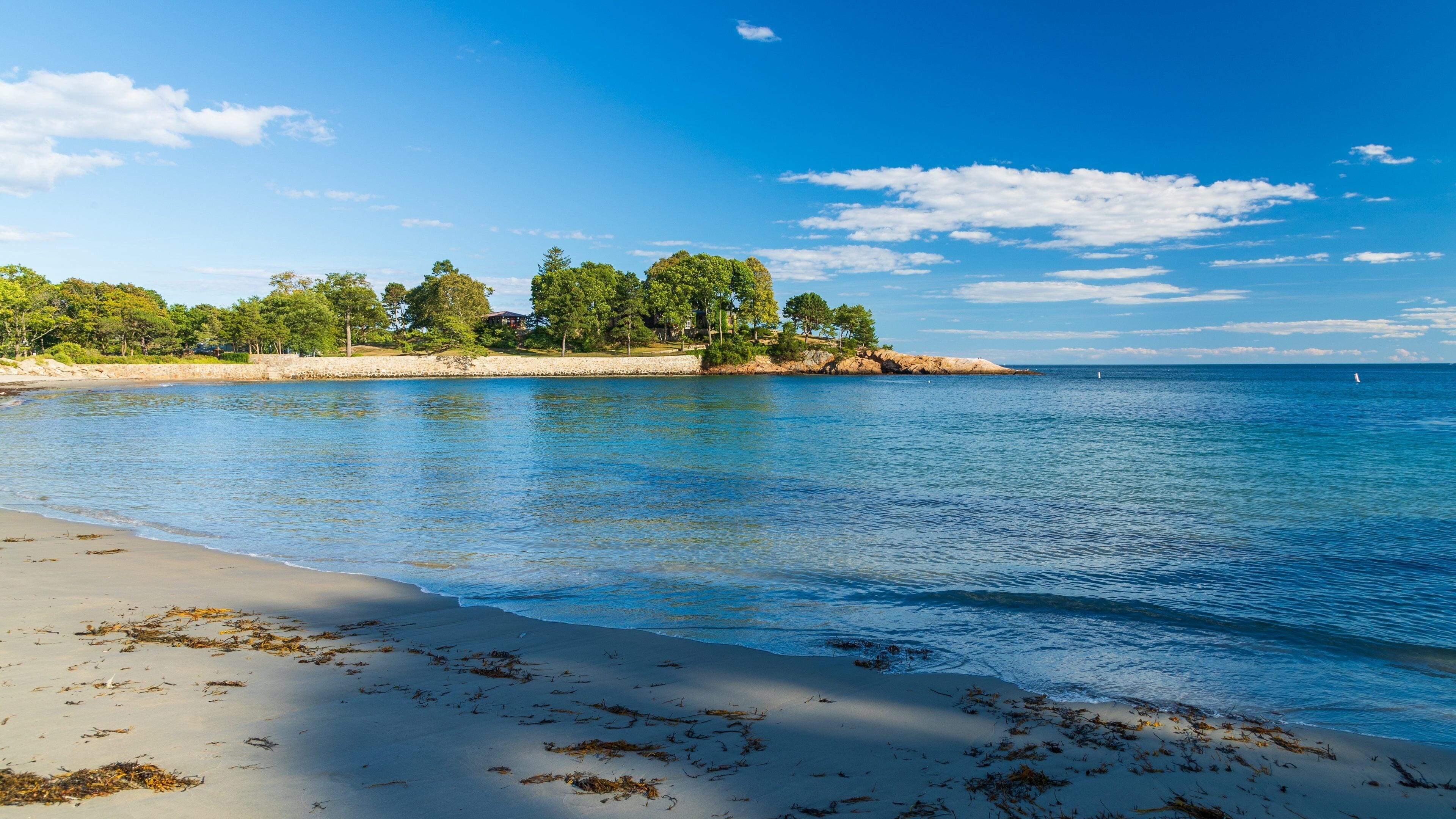 White Beach which includes general coastal views