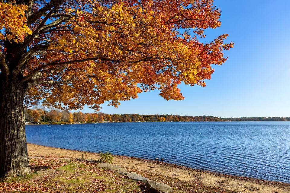 A lake with autumn foliage, a sandy shore, and a clear blue sky.